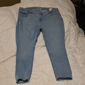 Levi's 311 Shaping Skinny Women's plus Jeans